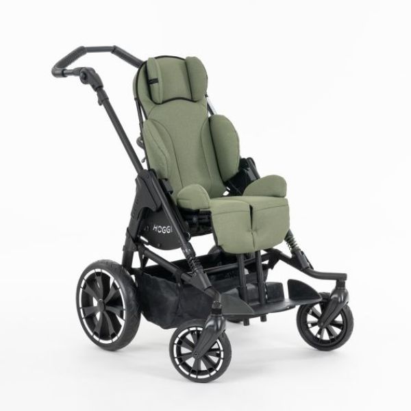 BINGO Evolution Trendline-1